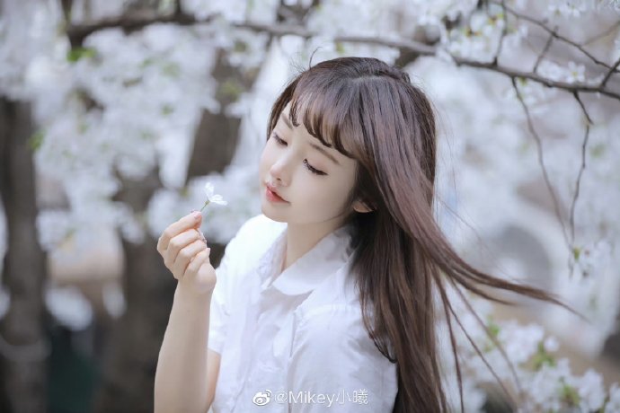 坚如磐石 海报